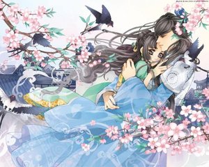 草莓榴莲绿巨人向日葵茄子丝瓜